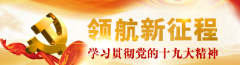 学习贯彻党的十九大精神